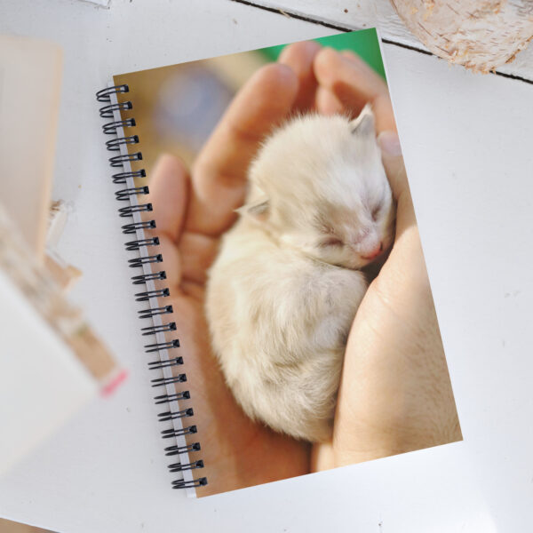 Cute baby kitten - Spiral Notebook - Dotted Paper