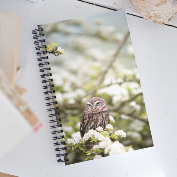 Cute Owl - Spiral Notebook - Dotted Paper