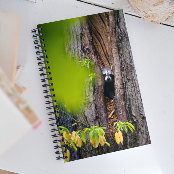 Cute Baby Racoon - Spiral Notebook - Dotted Paper